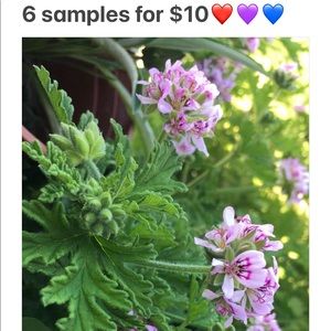 6 samples for $10💜❤️💙